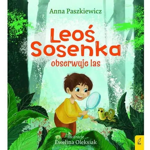 Leoś Sosenka obserwuje las