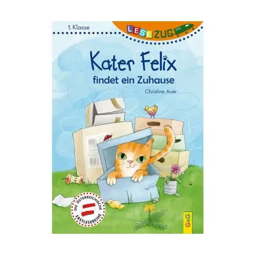 LESEZUG/1. Klasse: Kater Felix findet ein Zuhause