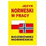 Jezyk norweski w pracy Rozmowki norweskie Sklep on-line