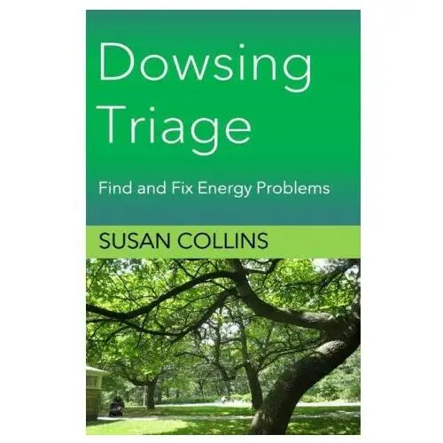 Lightning source inc Dowsing triage: find and fix energy problems