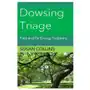 Lightning source inc Dowsing triage: find and fix energy problems Sklep on-line