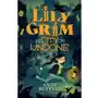 Lily Grim and The City of Undone Aitken-Burt, Laura; Selth, Robert; Peal, Robert Sklep on-line
