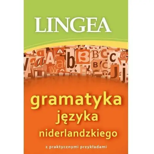 Gramatyka języka niderlandzkiego z praktycznymi przykładami