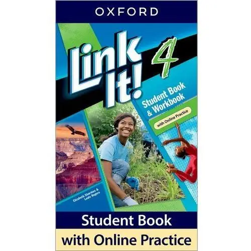 Link It! Level 4 Student Pack