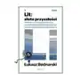 Lit: złoto przyszłości. Globalny wyścig o dominację w produkcji baterii i zwycięstwo w nowej rewolucji energetycznej Sklep on-line