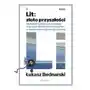 Lit: złoto przyszłości. Globalny wyścig o dominację w produkcji baterii i zwycięstwo w nowej rewolucji energetycznej Sklep on-line