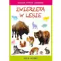 Zwierzęta w lesie, AZ#6597E5A9EB/DL-ebwm/pdf Sklep on-line