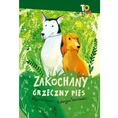 Zakochany grzeczny pies