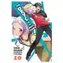 Devil is a Part-Timer!, Vol. 10 (light novel) Sklep on-line