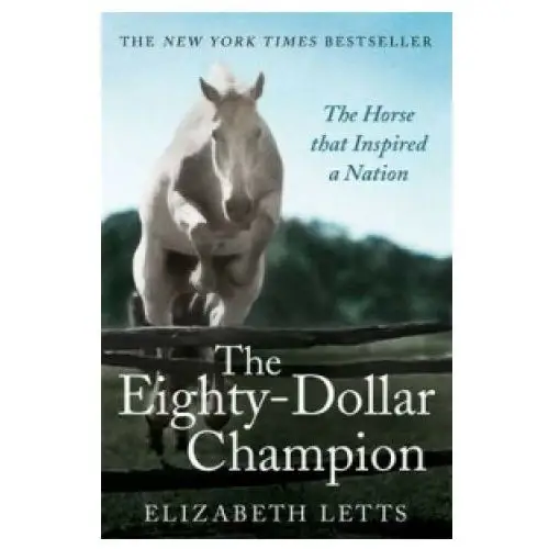 Little, brown book group Eighty dollar champion