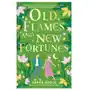 Little, brown book group Old flames and new fortunes Sklep on-line