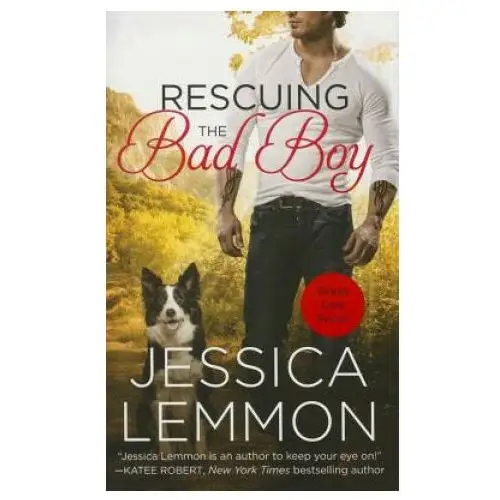 Rescuing the bad boy Little, brown book group