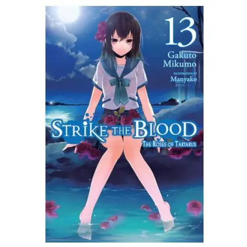Strike the blood, vol. 13 (light novel) Little, brown book group