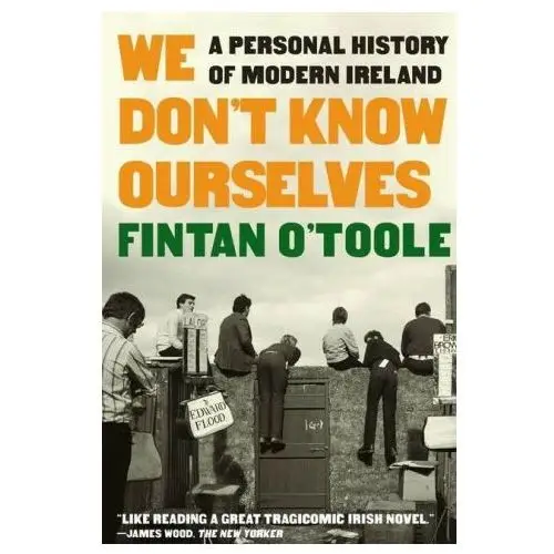 We don't know ourselves - a personal history of modern ireland Liveright pub corp