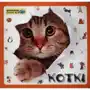 Poznajemy zwierzęta - kotki, KIPYZALA-6397 Sklep on-line