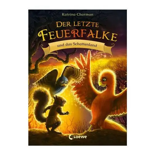 Der letzte Feuerfalke und das Schattenland (Band 5)