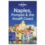 Lonely Planet Naples, Pompeii & the Amalfi Coast Sklep on-line