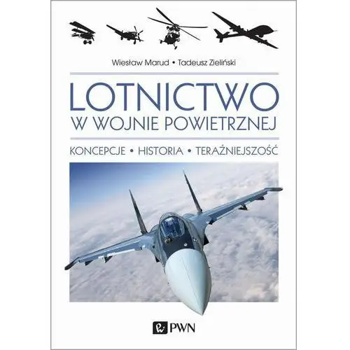 Lotnictwo w wojnie powietrznej