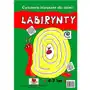 Love books Labirynty. ćwiczenia klasyczne dla dzieci 4-7 lat Sklep on-line