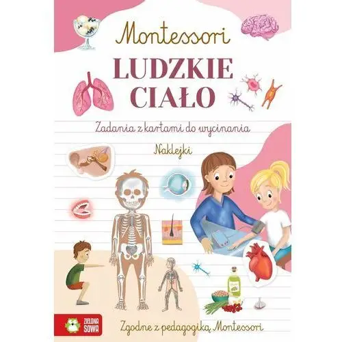 Ludzkie ciało. Montessori