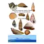 Lulu.com Land and freshwater snails of tahiti and the other society islands Sklep on-line