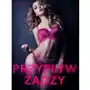 LUST. Przypływ żądzy - opowiadanie erotyczne Sklep on-line