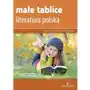 Małe tablice. Literatura polska Sklep on-line