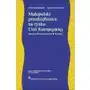 Małopolski przedsiębiorca na rynku Unii Europejskiej. Założenia – doświadczenia - rezultaty Sklep on-line