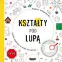 Kształty pod lupą. wielka wyprawa w świat kształtów Sklep on-line