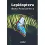 Mamiko Lepidoptera Sklep on-line