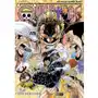 Manga One Piece Tom 79 Sklep on-line