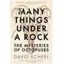 Many Things Under a Rock: The Mysteries of Octopuses Jaroslav Moravec Sklep on-line