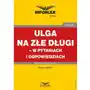 Ulga na złe długi - w pytaniach i odpowiedziach Sklep on-line