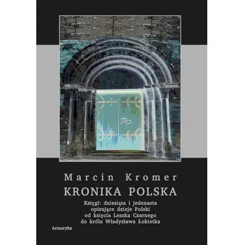 Kronika polska marcina kromera, tom 4