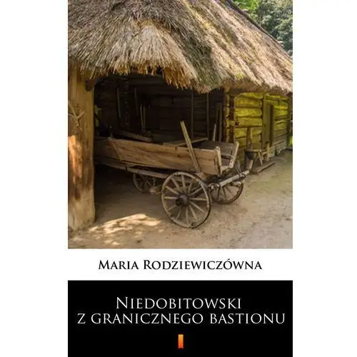 Maria rodziewiczówna Niedobitowski z granicznego bastionu