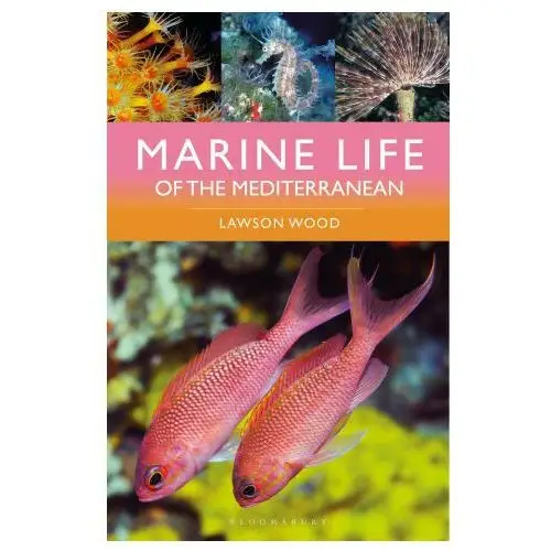 Marine life of the mediterranean Bloomsbury publishing (uk)