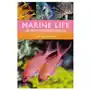 Marine life of the mediterranean Bloomsbury publishing (uk) Sklep on-line