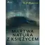 Martwa natura z księżycem Sklep on-line