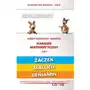 Matematyka z wesołym kangurem suplem 2021. żaczek/maluch/beniamin - książka Aksjomat piotr nodzyński Sklep on-line