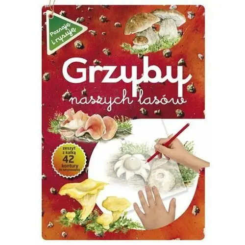 Grzyby naszych lasów Maternicka grażyna