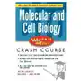 Mcgraw-hill professional Schaum's easy outline molecular and cell biology Sklep on-line