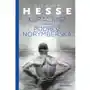 Kuracjusz / podróż norymberska - hesse hermann - książka Media rodzina Sklep on-line