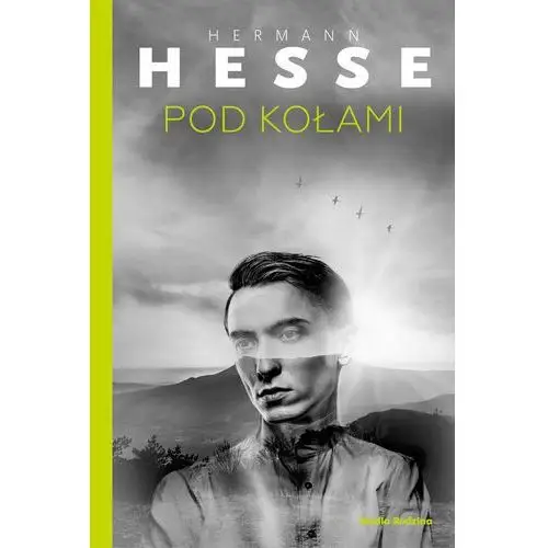 Pod kołami - Hesse Hermann - książka
