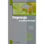 Depresje u osób młodych - Filip Rybakowski (PDF),898KS (8522704) Sklep on-line