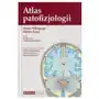 Atlas patofizjologii Sklep on-line