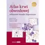 Atlas krwi obwodowej Podstawowe narzędzie diagnostyczne Sklep on-line