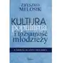 Kultura popularna i tożsamość młodzieży Melosik zbyszko Sklep on-line