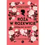 Róża w rozkwicie Mg Sklep on-line