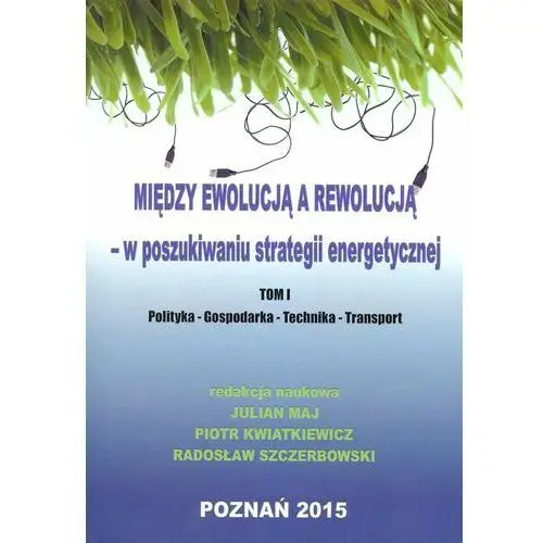 Między ewolucją a rewolucją - w poszukiwaniu strategii energetycznej. Tom 1