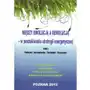 Między ewolucją a rewolucją - w poszukiwaniu strategii energetycznej. Tom 1 Sklep on-line